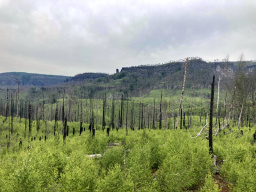 Pravčická brána / Prebischtor